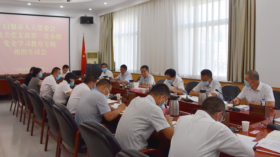 市人大常委会机关党支部召开党史学习教育专题组织生活会